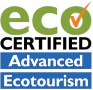Eco Tourism
