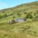 Houses for sale Machynlleth