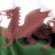 Information Wales