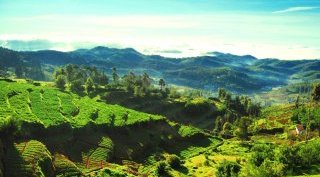 Ketti Valley - popular tourist place near Bangalore