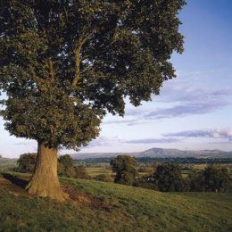 Powys [Credit: © Index Open]