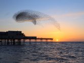 Aberystwyth Tourist Information Centre