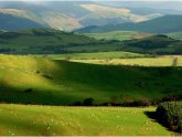 Mid Wales