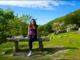 Things to see in North Wales