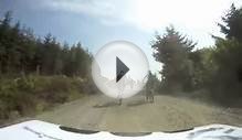 Dyfi Enduro 2011