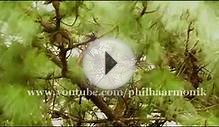 Overview of things to see in North East India