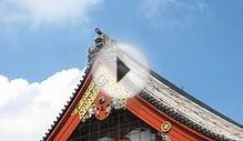 Top 8 Places to Visit in Tokyo
