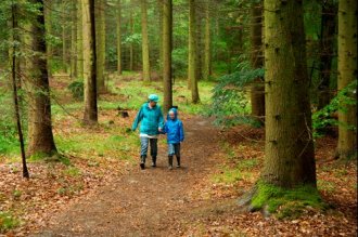 Walking in Nash Wood
