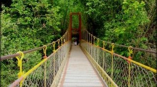 weekend getaways near bangalore - Coorg